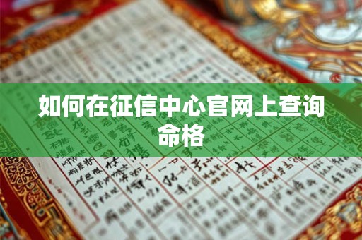 如何在征信中心官网上查询命格
