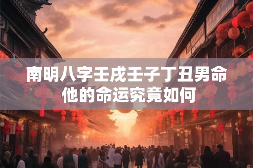 南明八字壬戌壬子丁丑男命 他的命运究竟如何