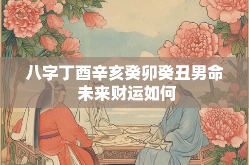 八字丁酉辛亥癸卯癸丑男命 未来财运如何