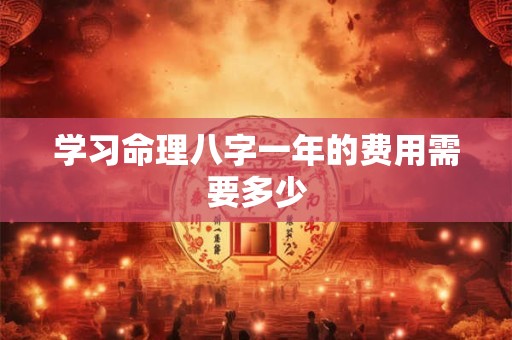 学习命理八字一年的费用需要多少