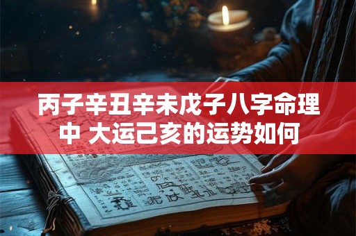 丙子辛丑辛未戊子八字命理中 大运己亥的运势如何