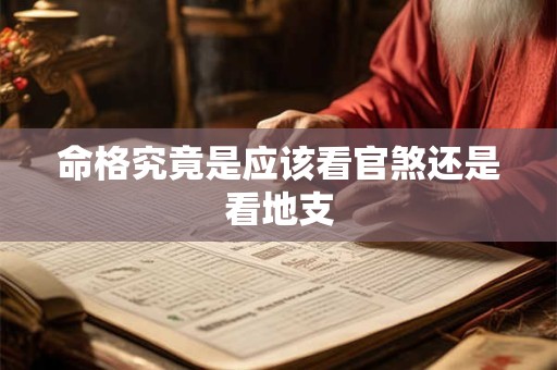 命格究竟是应该看官煞还是看地支