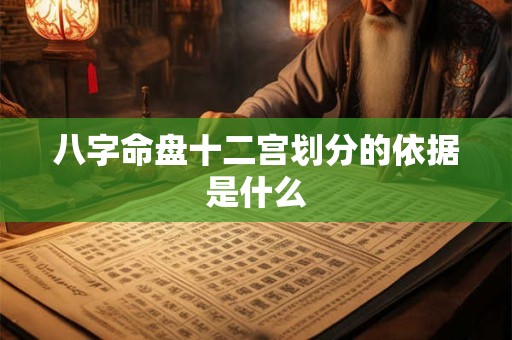 八字命盘十二宫划分的依据是什么