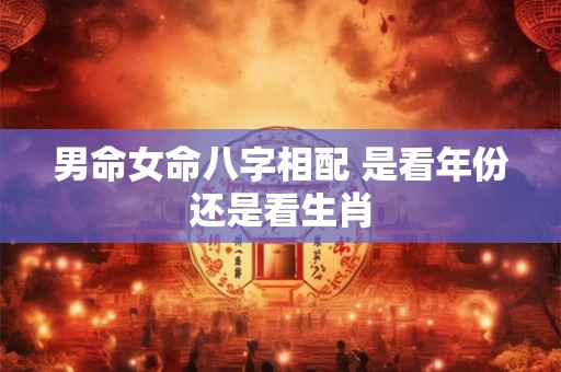 男命女命八字相配 是看年份还是看生肖