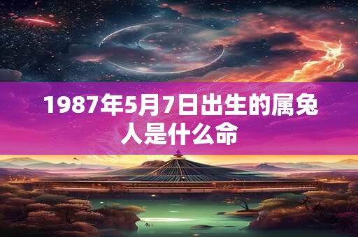 1987年5月7日出生的属兔人是什么命