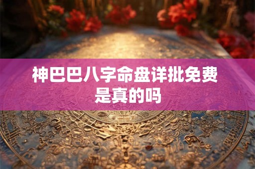 神巴巴八字命盘详批免费 是真的吗