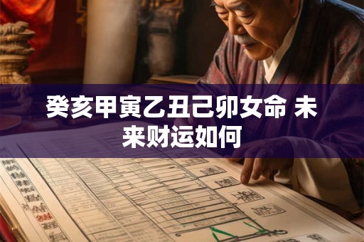 癸亥甲寅乙丑己卯女命 未来财运如何