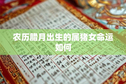 农历腊月出生的属猪女命运如何