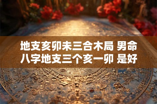 地支亥卯未三合木局 男命八字地支三个亥一卯 是好是坏