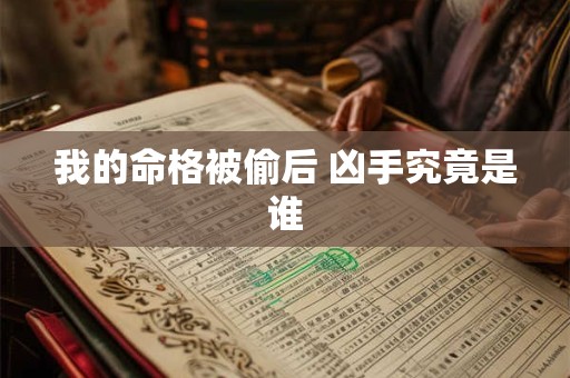我的命格被偷后 凶手究竟是谁