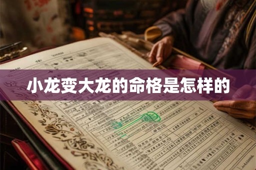 小龙变大龙的命格是怎样的