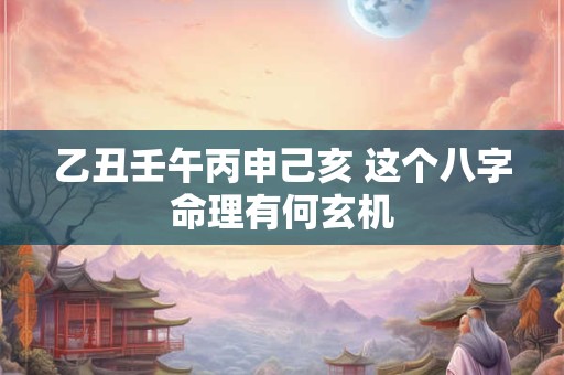 乙丑壬午丙申己亥 这个八字命理有何玄机