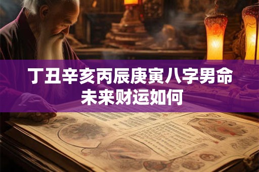 丁丑辛亥丙辰庚寅八字男命 未来财运如何