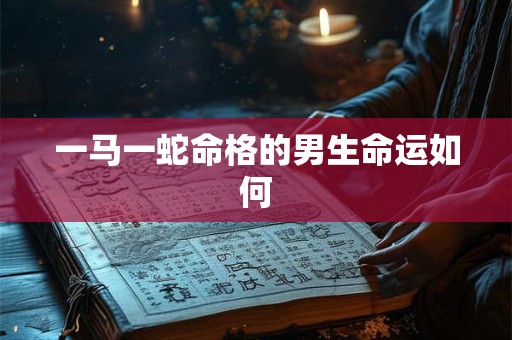 一马一蛇命格的男生命运如何