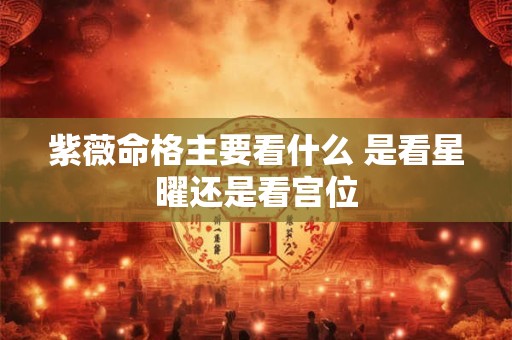 紫薇命格主要看什么 是看星曜还是看宫位