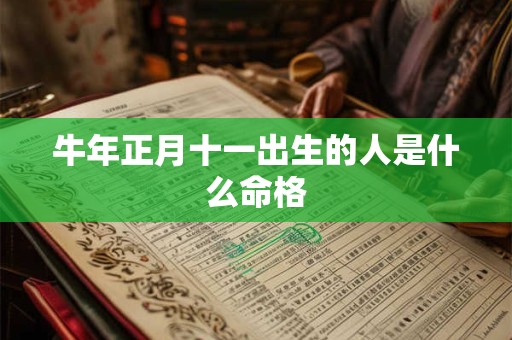 牛年正月十一出生的人是什么命格
