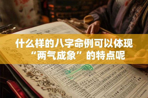 什么样的八字命例可以体现“两气成象”的特点呢