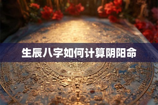 生辰八字如何计算阴阳命