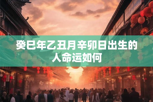 癸巳年乙丑月辛卯日出生的人命运如何