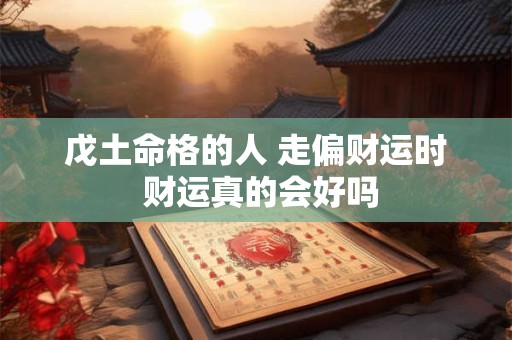 戊土命格的人 走偏财运时 财运真的会好吗