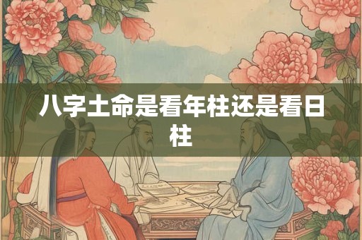八字土命是看年柱还是看日柱