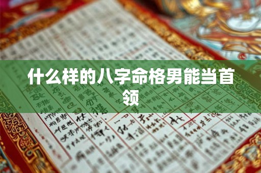 什么样的八字命格男能当首领