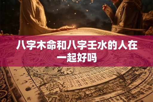 八字木命和八字壬水的人在一起好吗