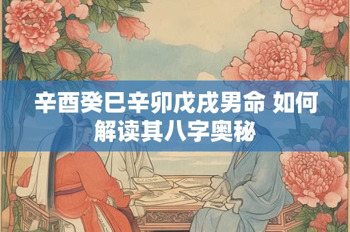 辛酉癸巳辛卯戊戌男命 如何解读其八字奥秘