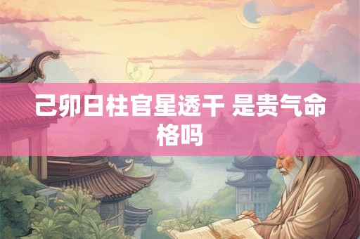 己卯日柱官星透干 是贵气命格吗