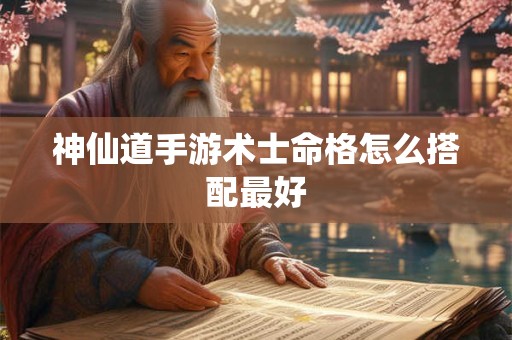神仙道手游术士命格怎么搭配最好