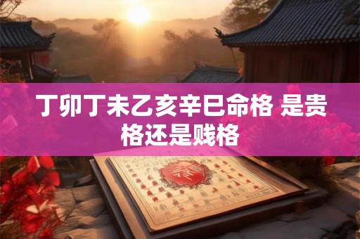 丁卯丁未乙亥辛巳命格 是贵格还是贱格