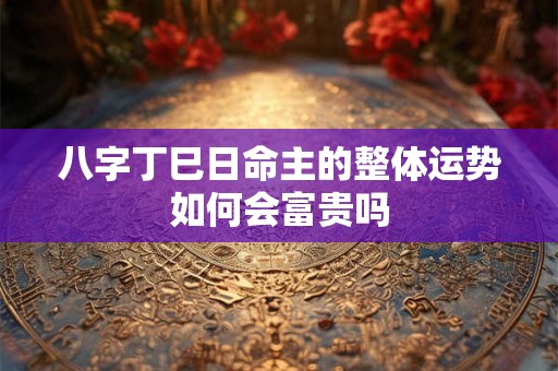 八字丁巳日命主的整体运势如何会富贵吗