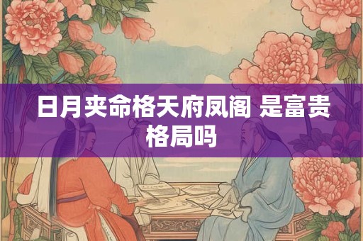 日月夹命格天府凤阁 是富贵格局吗