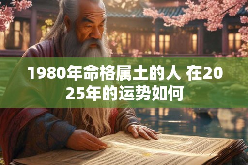 1980年命格属土的人 在2025年的运势如何