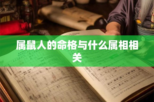 属鼠人的命格与什么属相相关