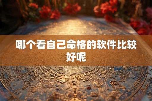 哪个看自己命格的软件比较好呢