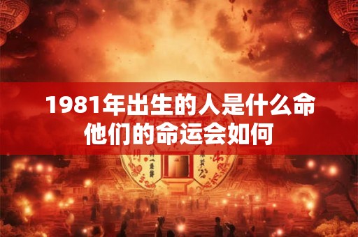 1981年出生的人是什么命他们的命运会如何