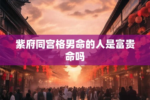 紫府同宫格男命的人是富贵命吗