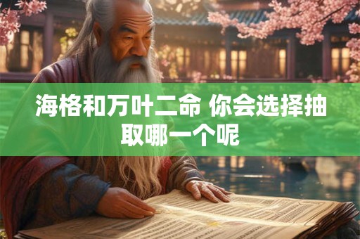 海格和万叶二命 你会选择抽取哪一个呢
