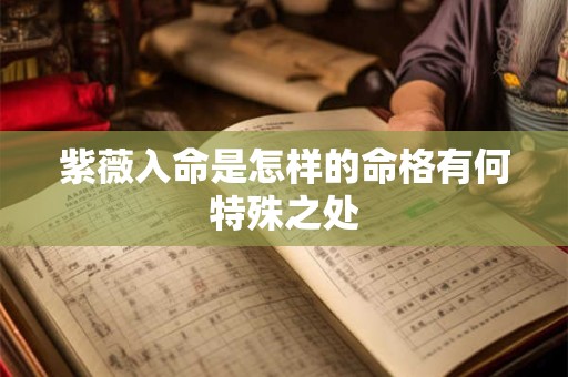 紫薇入命是怎样的命格有何特殊之处