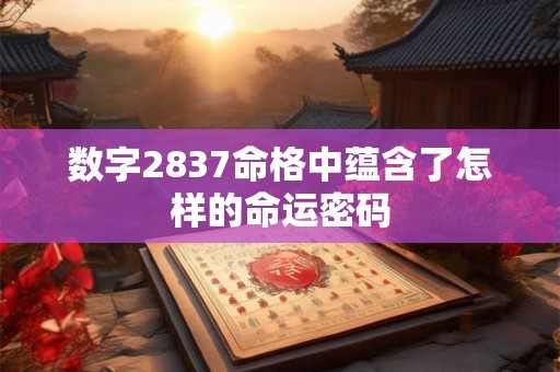 数字2837命格中蕴含了怎样的命运密码