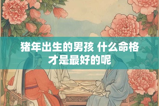 猪年出生的男孩 什么命格才是最好的呢