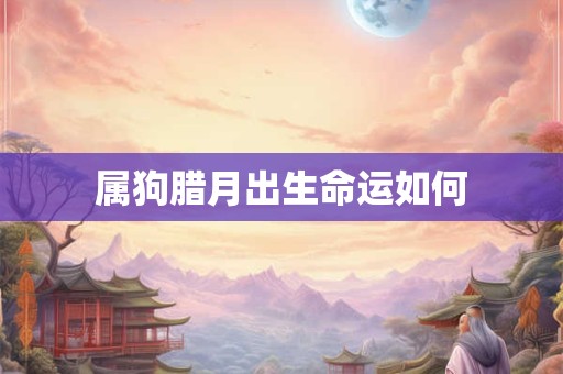 属狗腊月出生命运如何