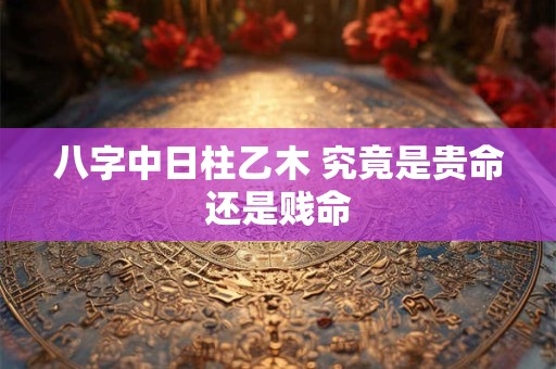 详细阅读:八字中日柱乙木 究竟是贵命还是贱命 八字中日柱乙木 究竟是贵命还是贱命