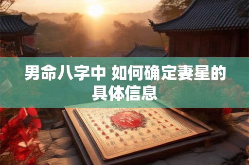 男命八字中 如何确定妻星的具体信息