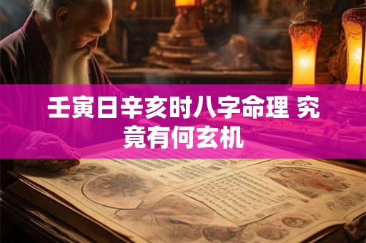 壬寅日辛亥时八字命理 究竟有何玄机