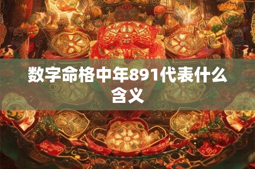 数字命格中年891代表什么含义