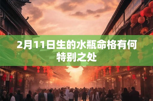 2月11日生的水瓶命格有何特别之处