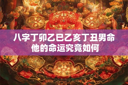 八字丁卯乙巳乙亥丁丑男命 他的命运究竟如何