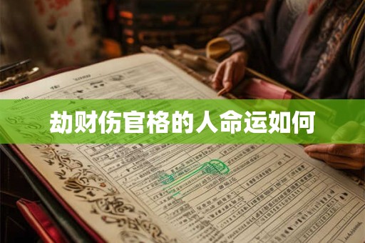 劫财伤官格的人命运如何